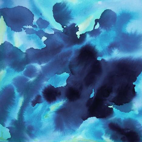 Papillon aquatique 66X66.jpg